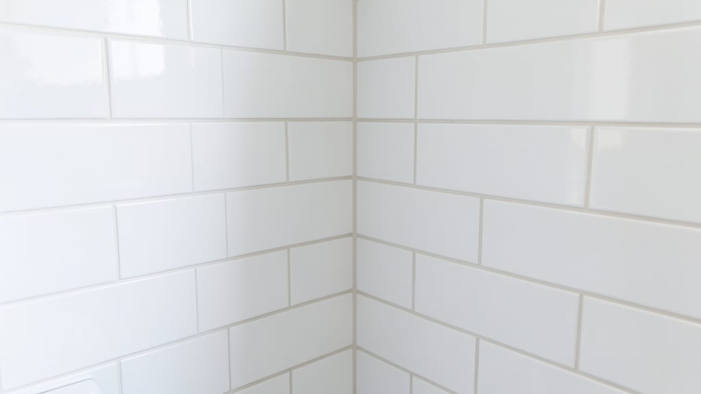 The Most Common Types of Mold Found in Voorhees Homes