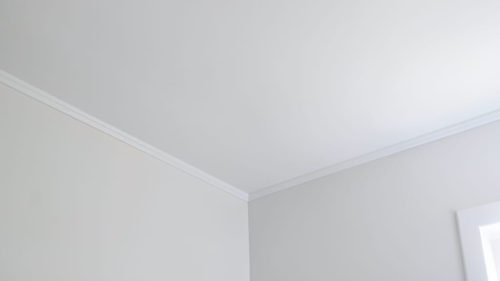 Understanding the Cost Factors Behind Large-Scale Mold Remediation in Voorhees