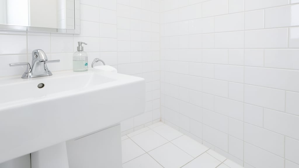 The Step-by-Step Process of Commercial Mold Remediation in Voorhees