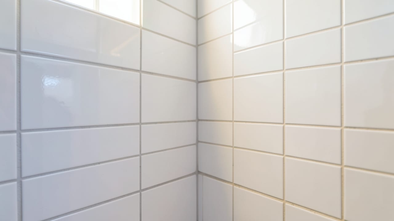 Bathroom Mold Removal in Voorhees, NJ in Voorhees