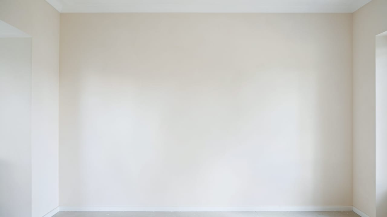 Plaster Mold Remediation in Voorhees, NJ in Voorhees