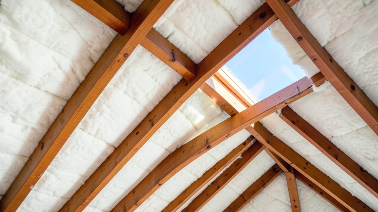 Roof Leak Mold Remediation in Milltown, NJ in Voorhees