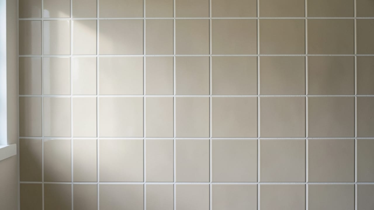 Tile & Grout Mold Cleanup in Voorhees, NJ in Voorhees