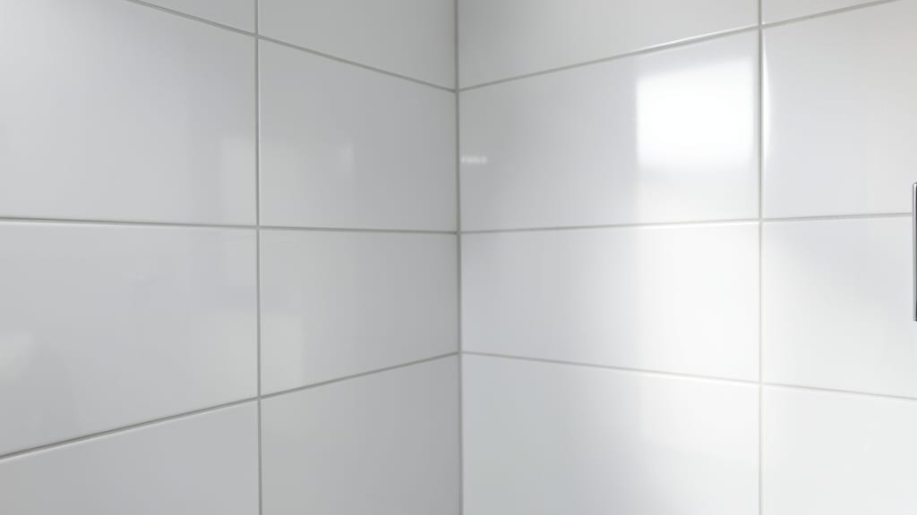 Mold Remediation for Rental Properties: Costs and Landlord Responsibilities in West Pleasant View