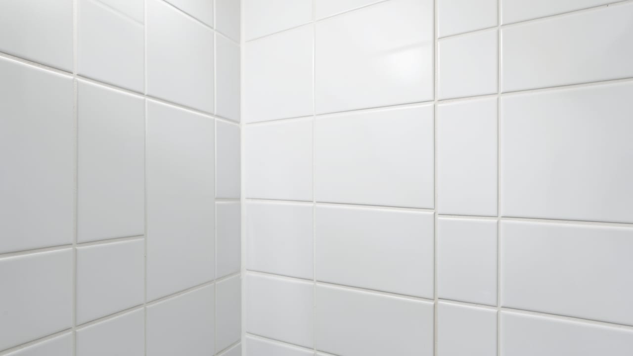 Bathroom Mold Removal in West Pleasant View, CO in West Pleasant View