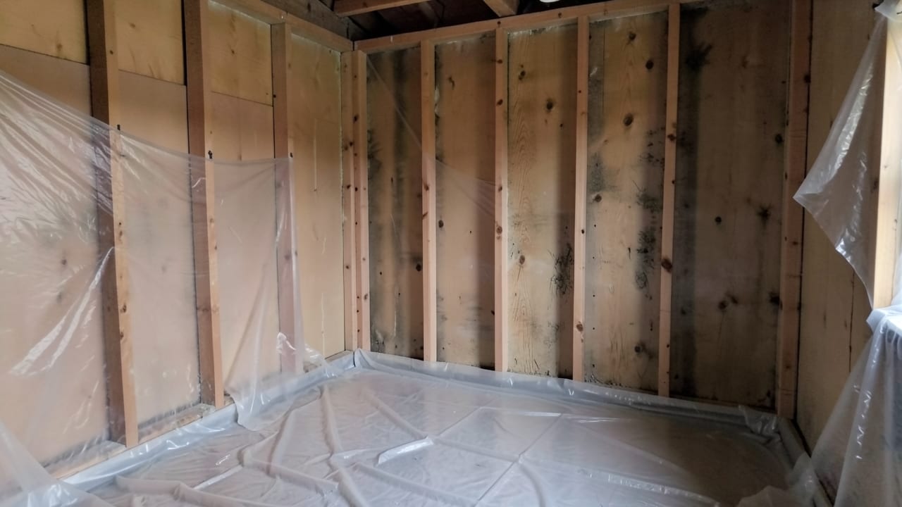 Mold Removal & Remediation in West Pleasant View, CO in West Pleasant View