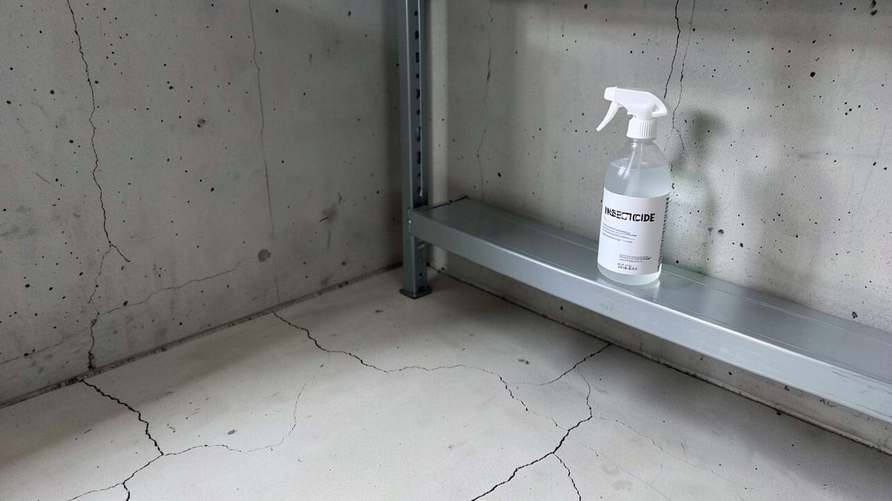 Pest Infestation Mold Remediation in West Pleasant View, CO in West Pleasant View