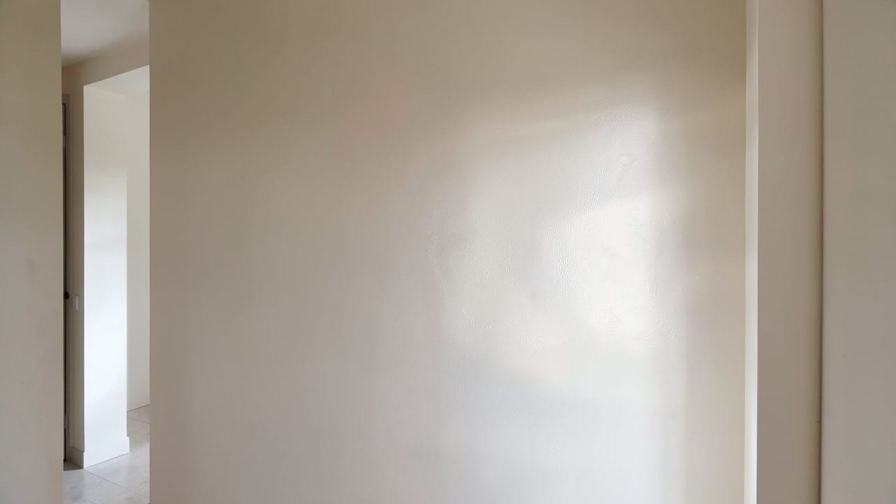 Plaster Mold Remediation in West Pleasant View, CO in West Pleasant View