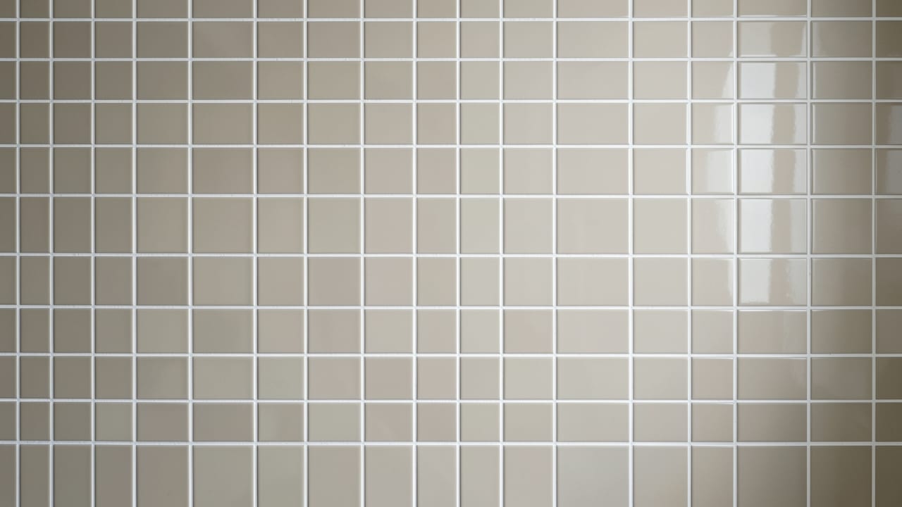 Tile & Grout Mold Cleanup in West Pleasant View, CO in West Pleasant View