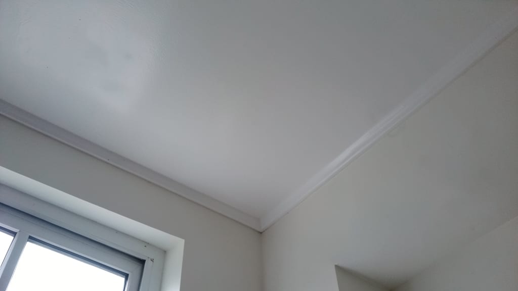 How Often Should You Test for Mold in Yarmouth