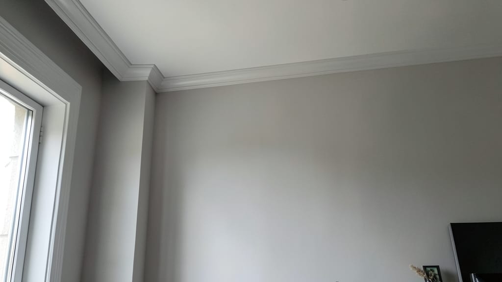 How to Safely Test for Black Mold in Your Yarmouth Home