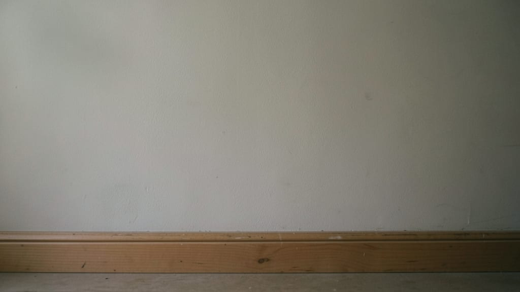 How to Store Belongings to Prevent Mold Growth in Yarmouth