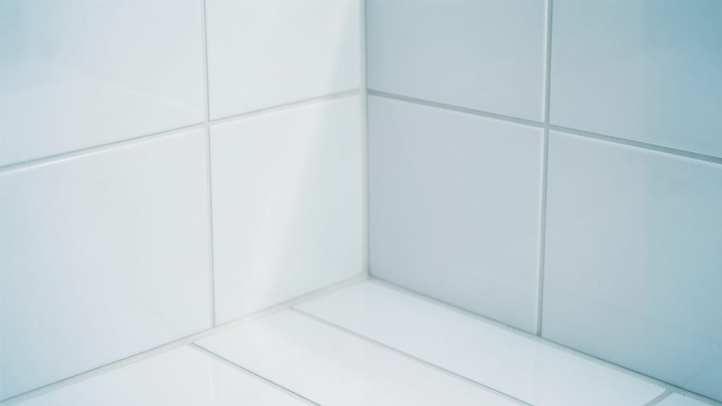 Mold Removal vs. Mold Remediation: Key Differences for Yarmouth Homeowners