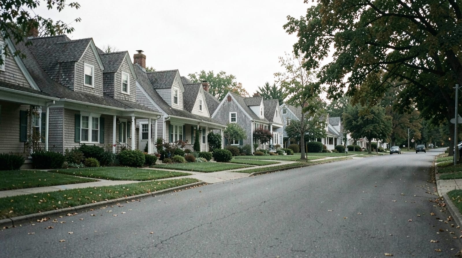 Mold Remediation in Dennis, MA