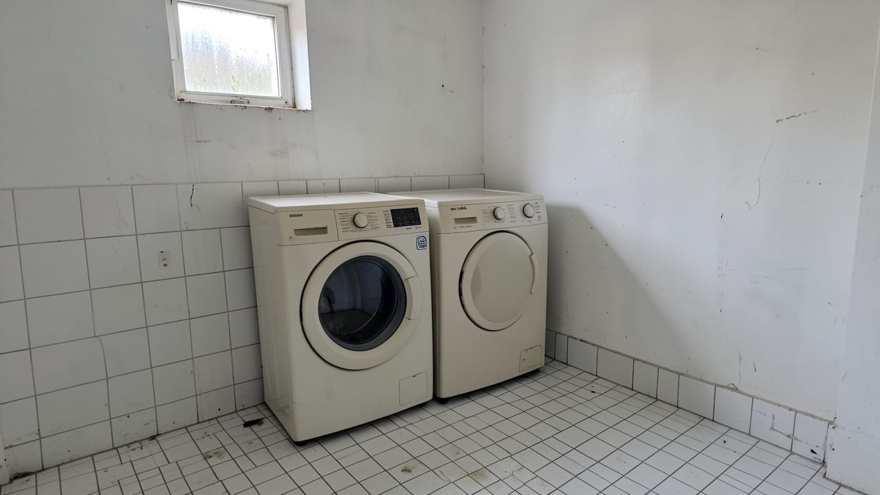 Laundry Room Mold Cleanup in Yarmouth, MA in Yarmouth